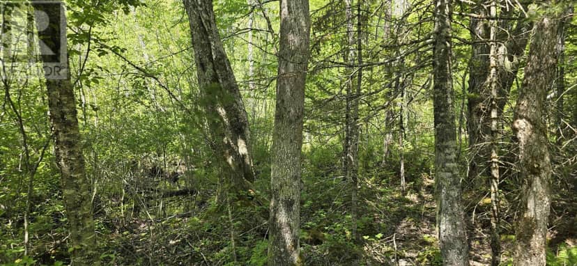 Lot 174A Spruce Drive, Hemford, photo 7