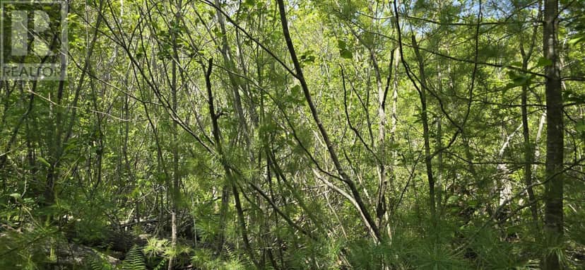 Lot 174A Spruce Drive — photo 9 of 28