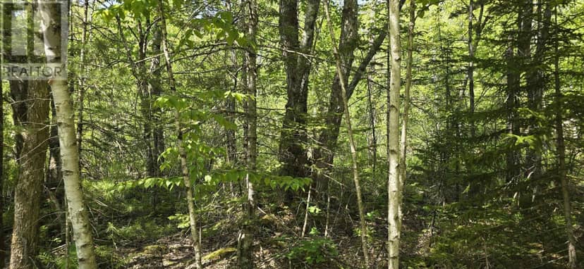 Lot 176A Spruce Drive, Hemford, photo 6