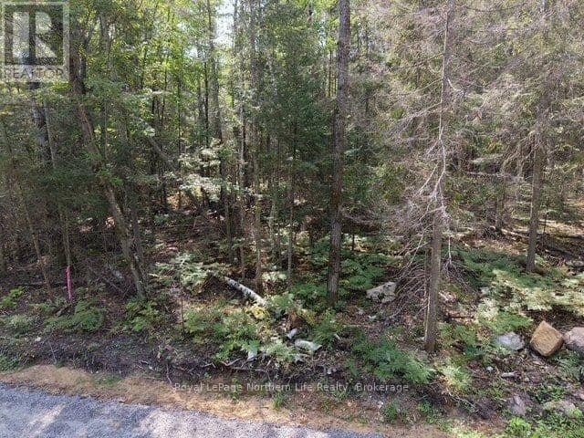 131 Ninovan Road W — photo 11 of 13