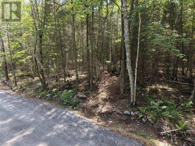 131 Ninovan Road W — photo 9 of 13