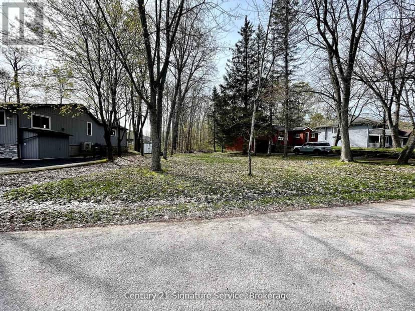257 Robins Point Road, Tay, photo 2