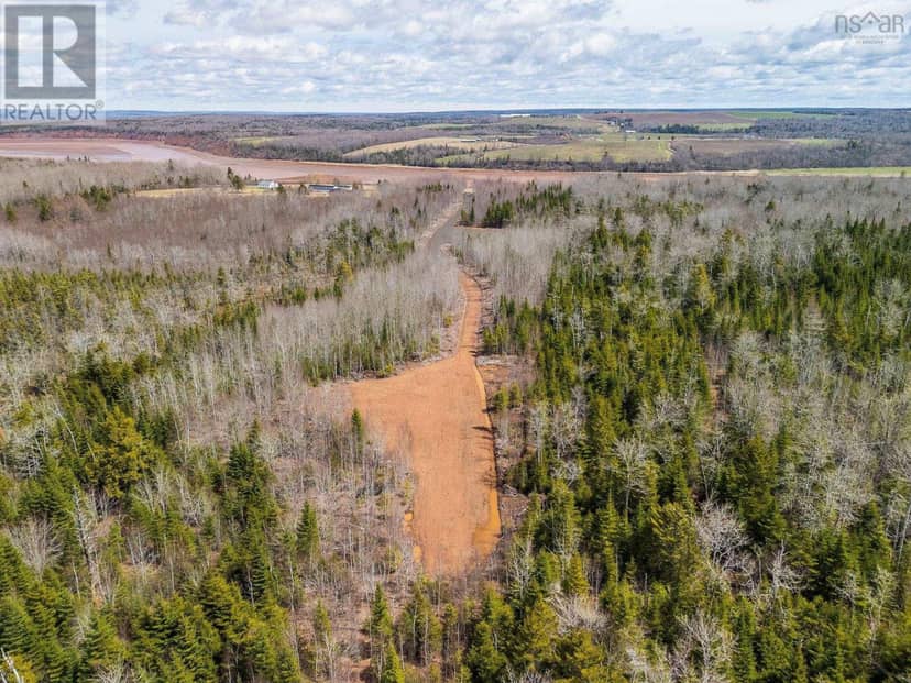 Highway 215 Acreage — photo 19 of 40