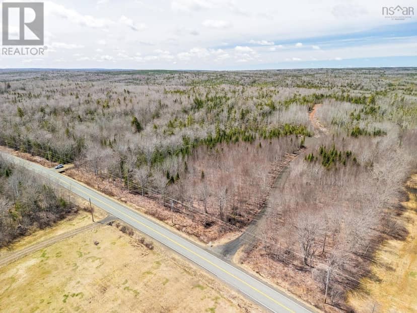 Highway 215 Acreage — photo 4 of 40