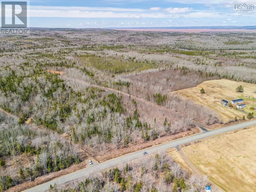 Highway 215 Acreage — photo 7 of 40