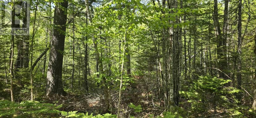 107, 174A, 176A Upper Branch Road & Spruce Drive, Hemford, photo 5