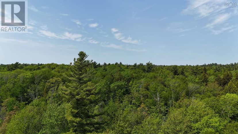 107, 174A, 176A Upper Branch Road & Spruce Drive — photo 16 of 28
