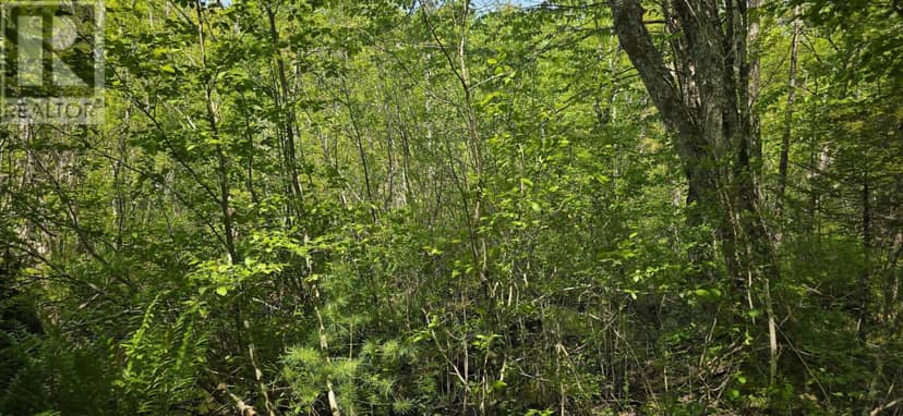 107, 174A, 176A Upper Branch Road & Spruce Drive — photo 9 of 28