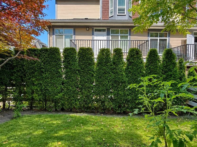 10 15977 26 AVENUE, Surrey, photo 5