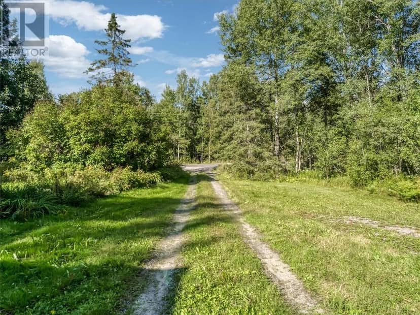 1771 Nepewassi Lake, Estaire, photo 2