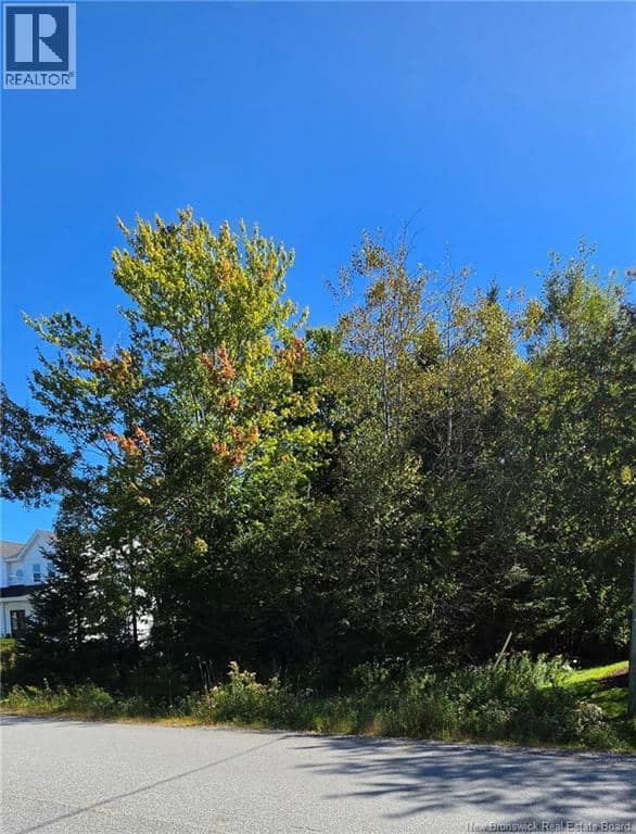 24 Westminster Drive, Quispamsis, photo 3