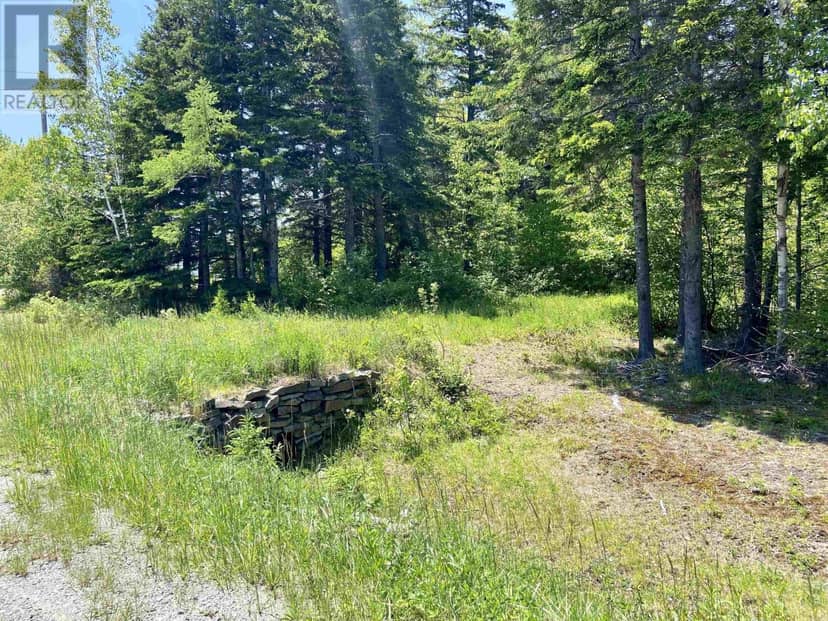 Acerage Highway 19 — photo 12 of 19