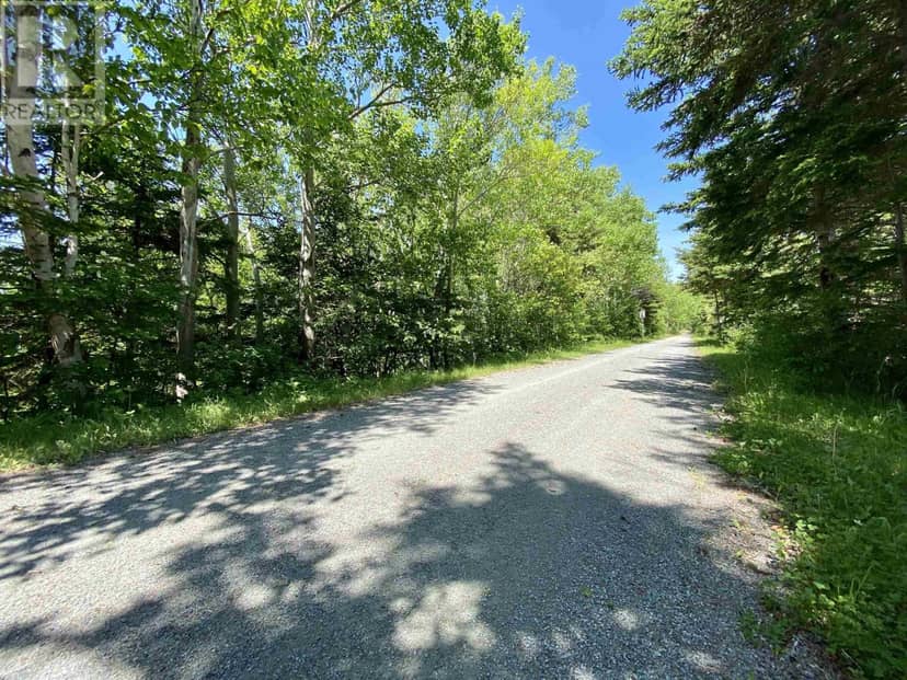 Acerage Highway 19, Long Point, photo 6