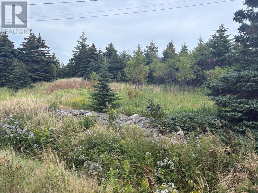 7-15 Connors Lane, Pouch Cove, photo 4