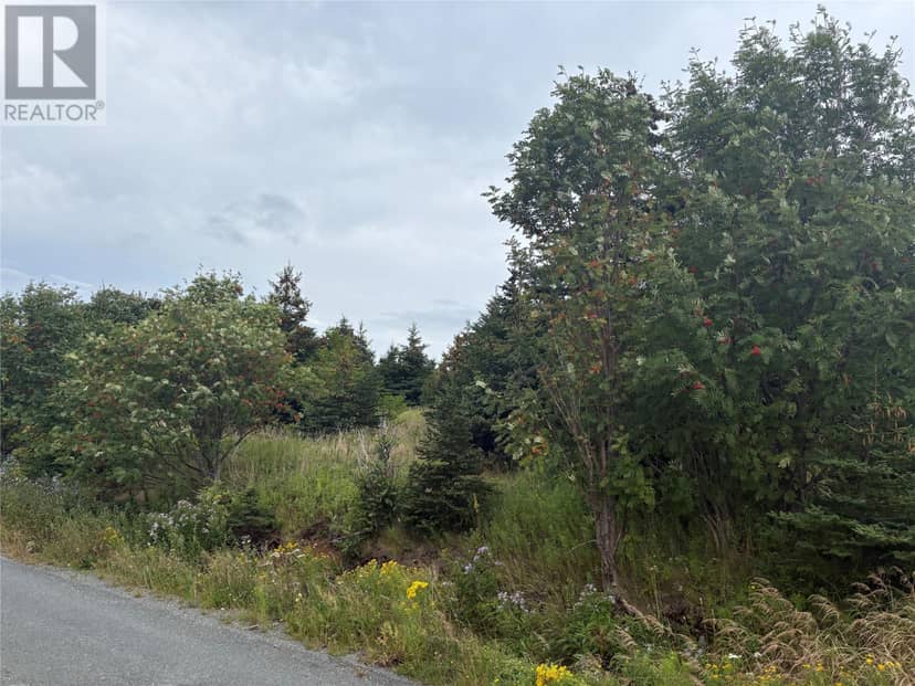 7-15 Connors Lane, Pouch Cove, photo 7