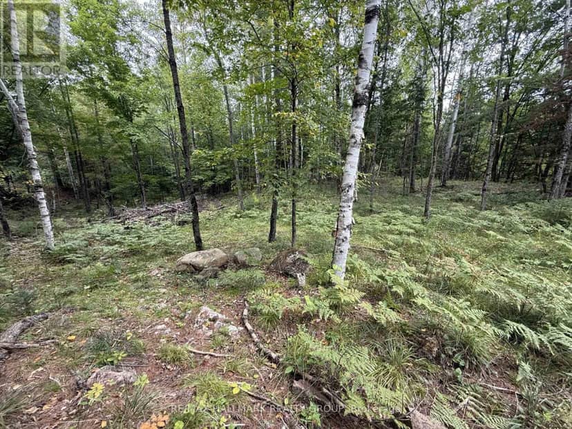 1059 6th Concession B Road, Lanark Highlands, photo 5