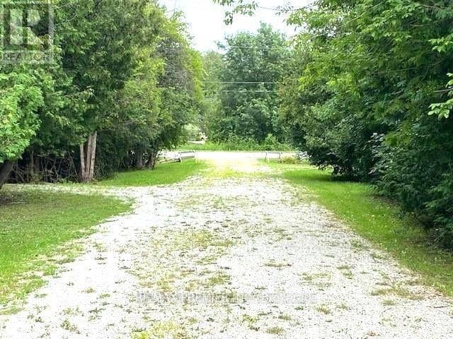 2506 Concession 10 N Nottawasaga Road — photo 3 of 25