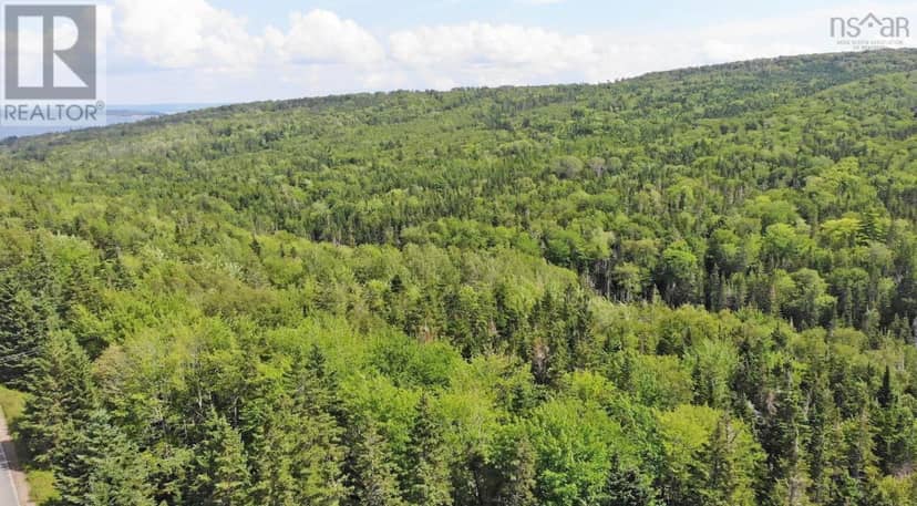 46 Acres Washabuck Road — photo 4 of 32