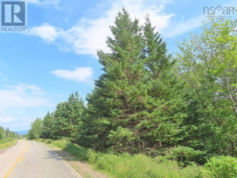 46 Acres Washabuck Road — photo 23 of 32