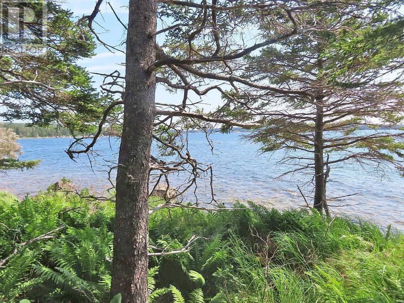 Lot 8 Hwy 316 (Grovers Pt) — photo 38 of 40