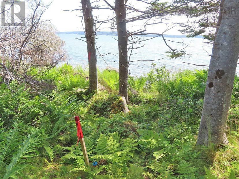 Lot 8 Hwy 316 (Grovers Pt) — photo 39 of 40