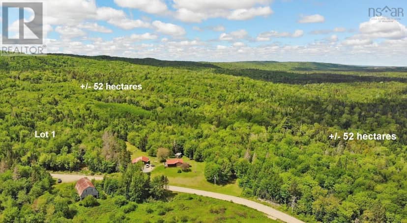 131 Acres West Side Road — photo 1 of 40