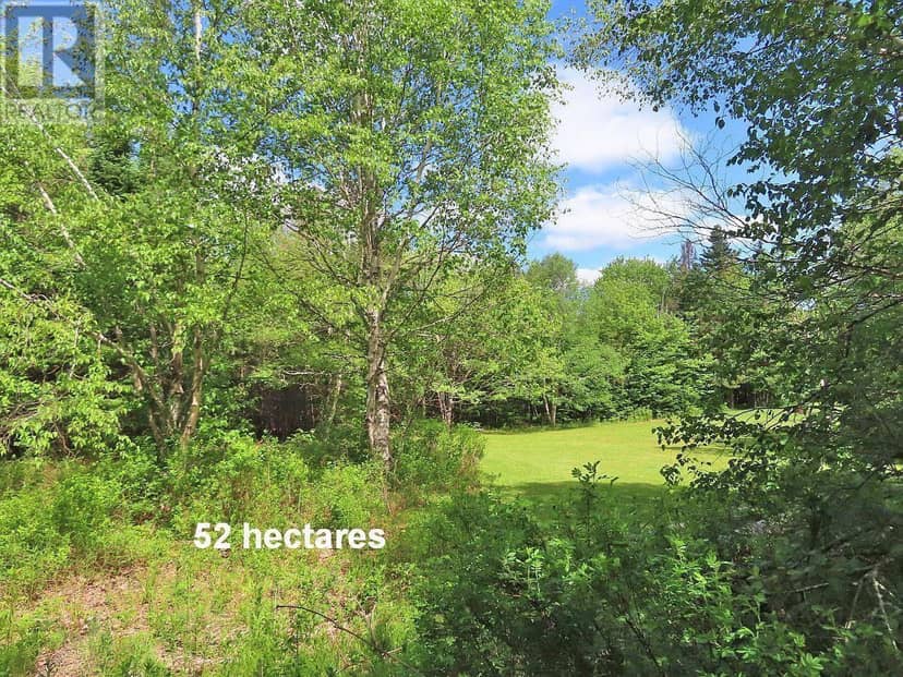 131 Acres West Side Road — photo 15 of 40