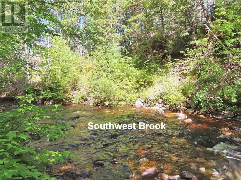 131 Acres West Side Road — photo 19 of 40