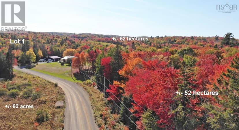 131 Acres West Side Road — photo 38 of 40