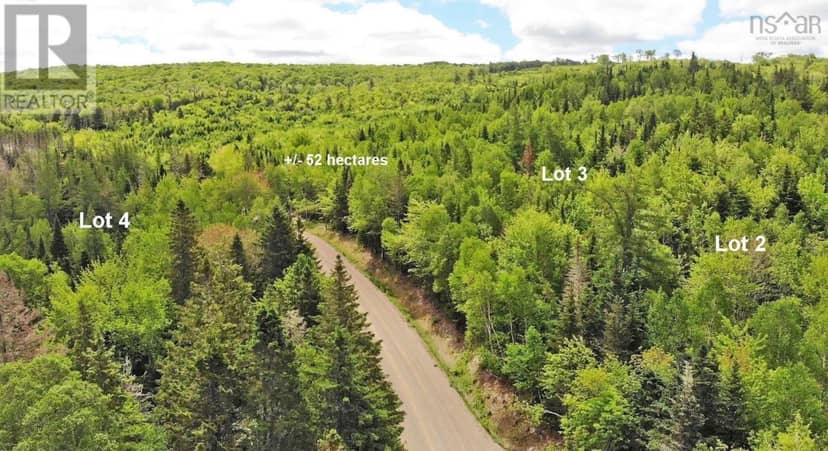 131 Acres West Side Road — photo 14 of 40