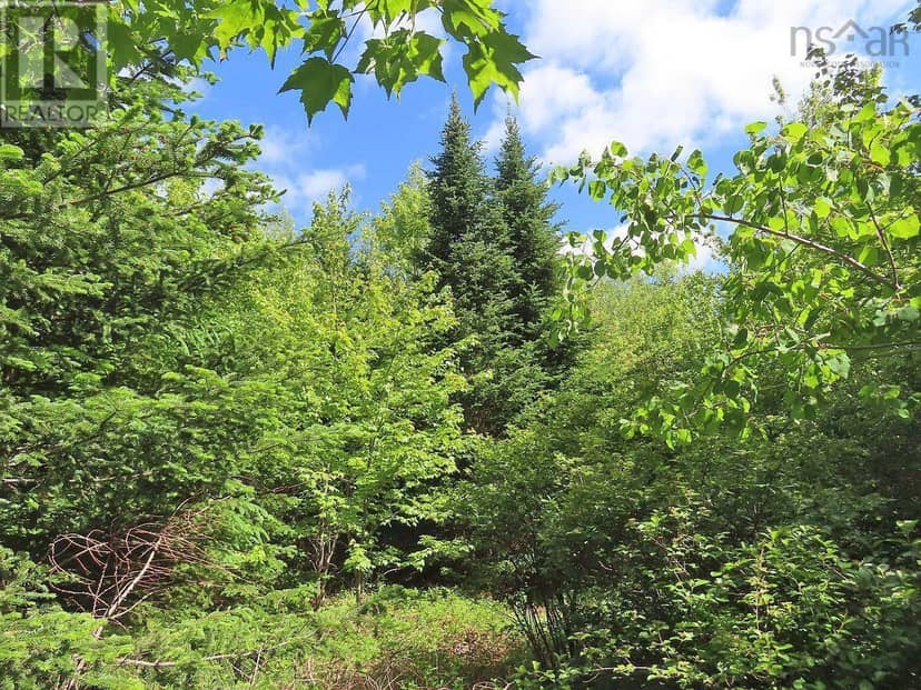 131 Acres West Side Road — photo 16 of 40