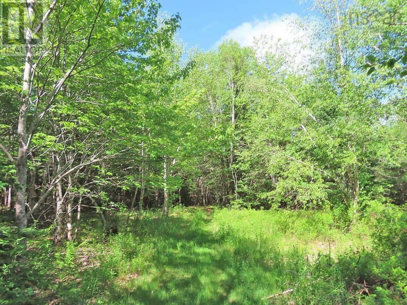 131 Acres West Side Road — photo 17 of 40