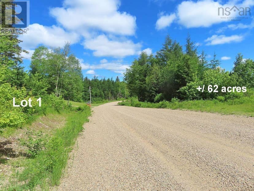 131 Acres West Side Road — photo 25 of 40
