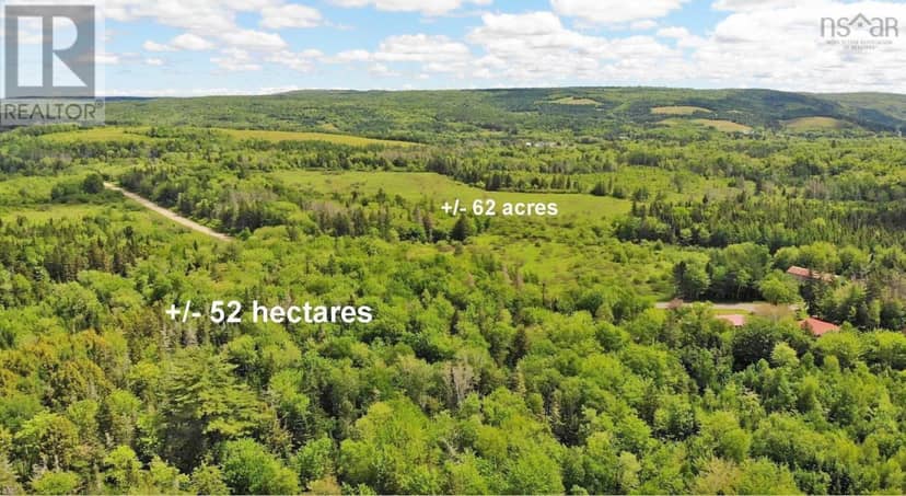 131 Acres West Side Road — photo 11 of 40