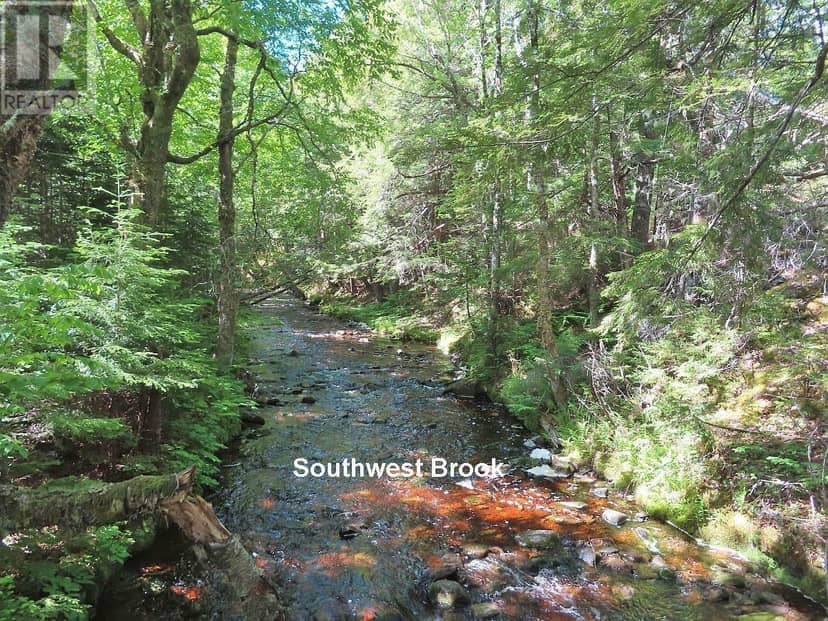131 Acres West Side Road — photo 21 of 40