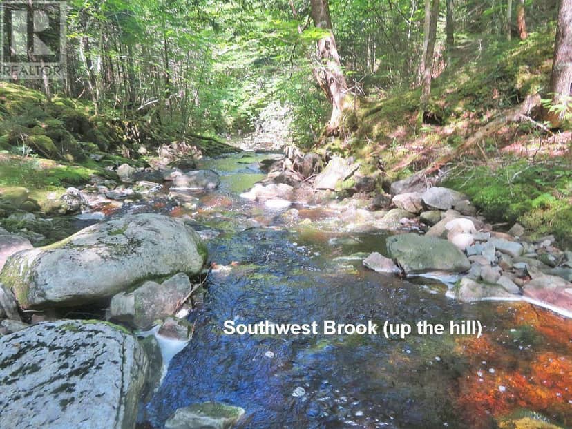 131 Acres West Side Road — photo 30 of 40