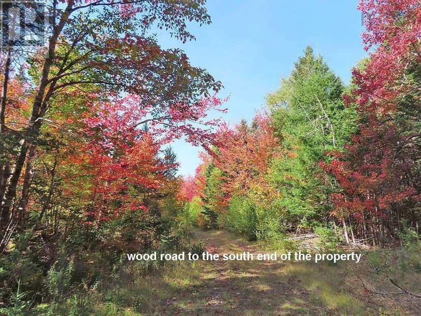 131 Acres West Side Road — photo 33 of 40