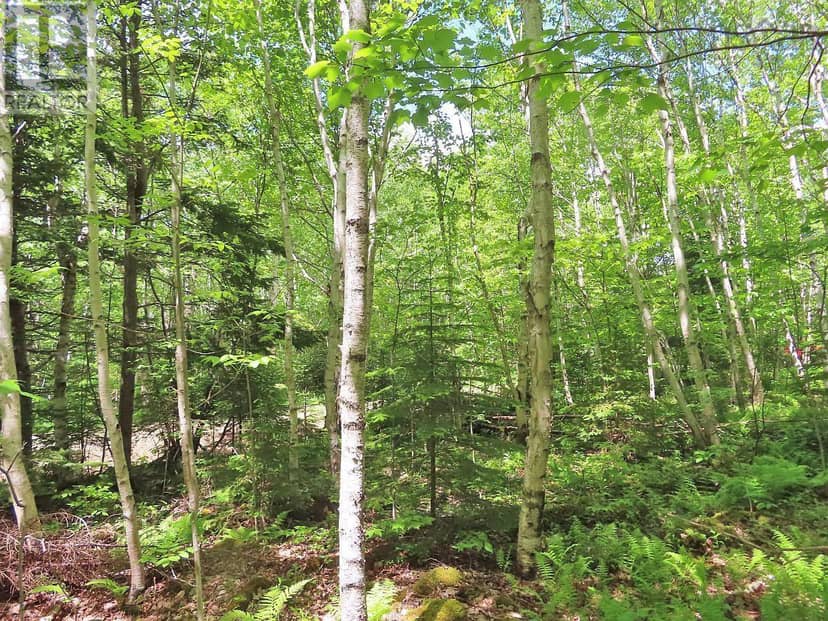 Lot 13 Belle View Lane — photo 19 of 29