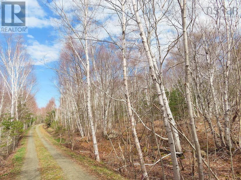 Lot 13 Belle View Lane — photo 24 of 29