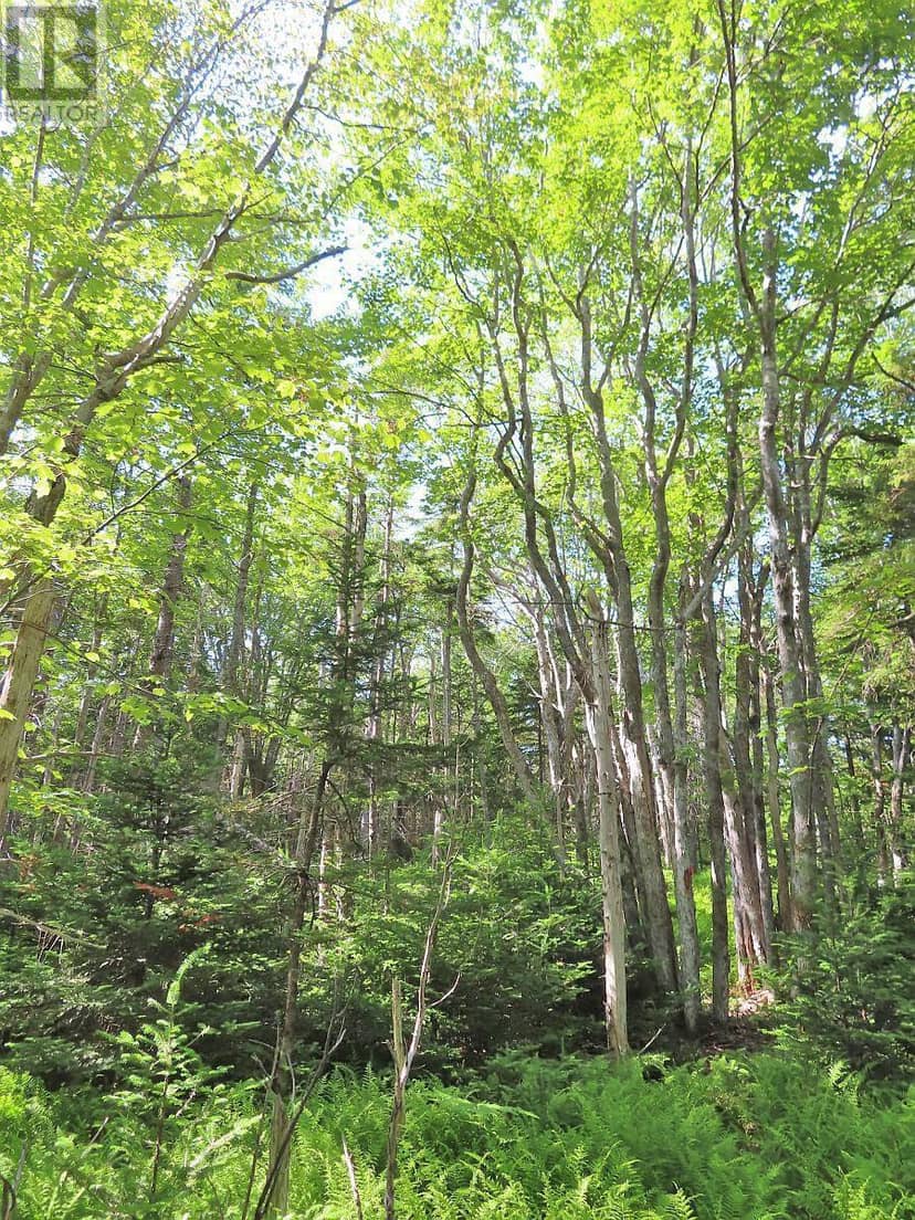 Lot 14 Perry Lane — photo 32 of 40