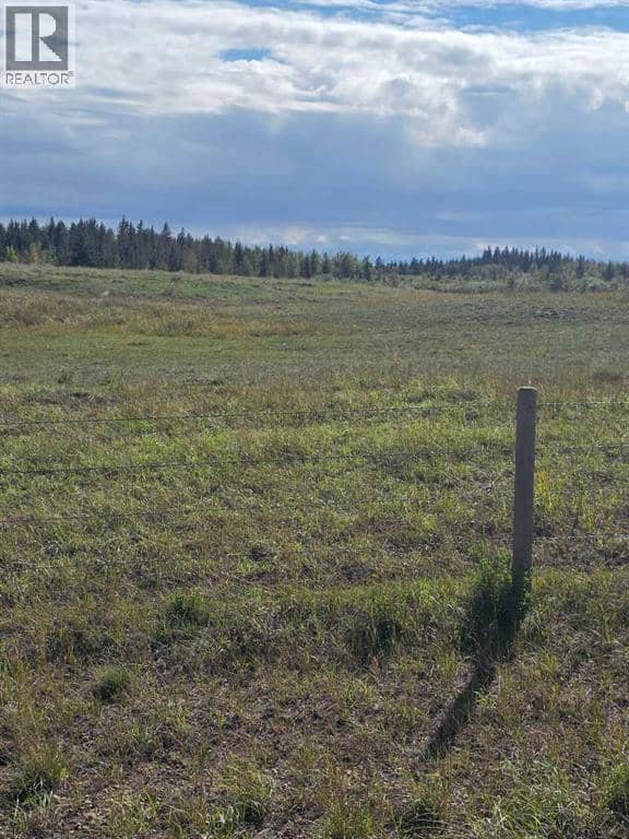 41323 - 2 Range Road 262, Rural Lacombe County, photo 8