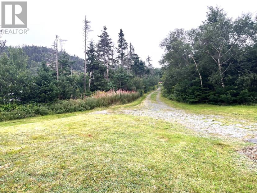 31 Mike Doyle's Road — photo 3 of 24