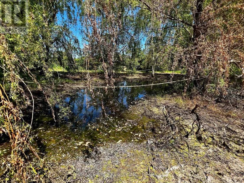 Lot 20 South Shore Road, Greater Napanee, photo 5