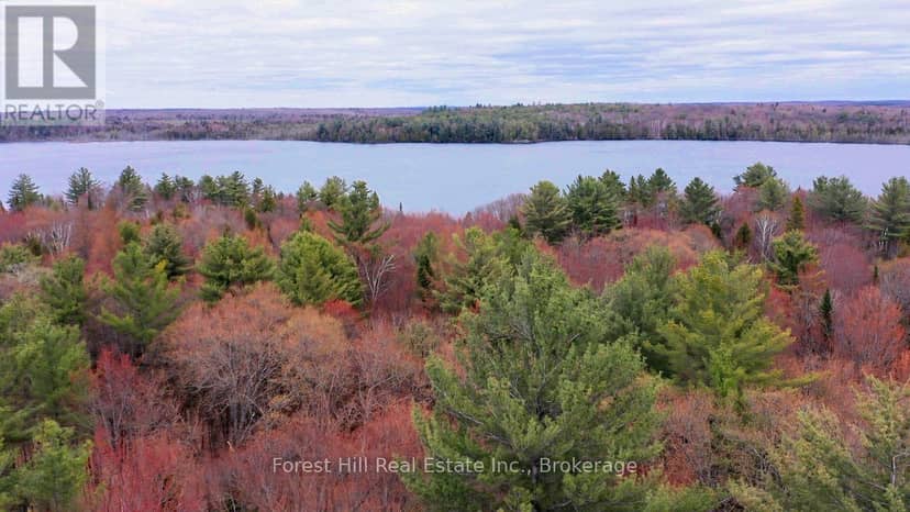 335 Woodland Drive, McMurrich/Monteith, photo 4