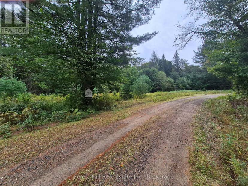 335 Woodland Drive, McMurrich/Monteith, photo 7