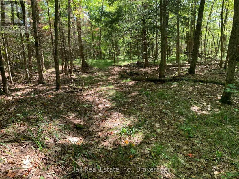 0 Old Hastings Road — photo 18 of 20
