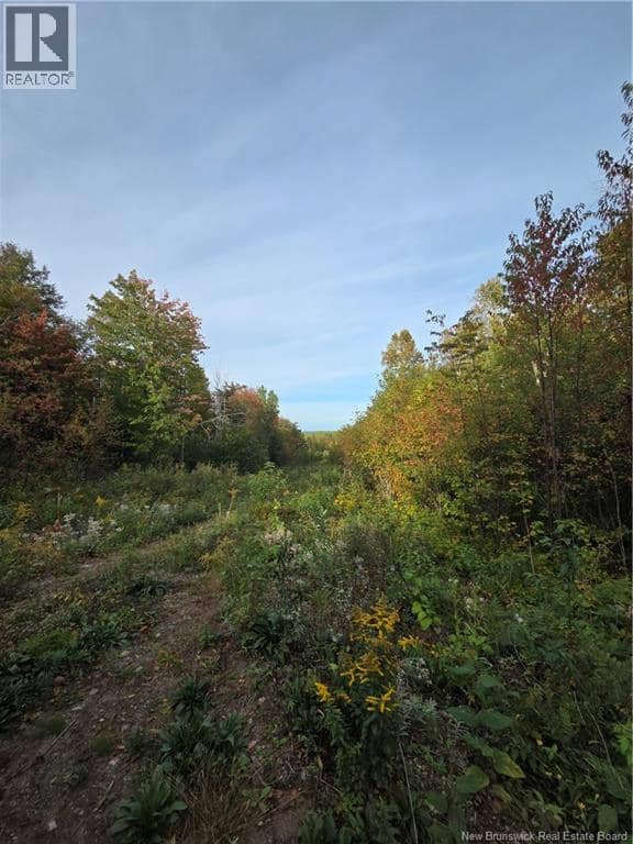 Lot Donnelly Settlement Road — photo 12 of 17