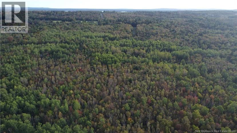 Lot Donnelly Settlement Road — photo 10 of 17