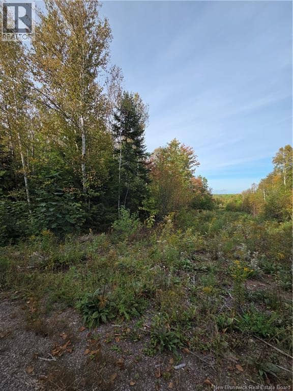 Lot Donnelly Settlement Road — photo 15 of 17