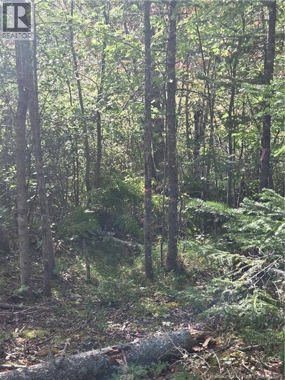 Lot Hazen Lane — photo 13 of 22